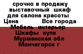 срочно в продажу выставочный  шкаф для салона красоты › Цена ­ 6 000 - Все города Мебель, интерьер » Шкафы, купе   . Мурманская обл.,Мончегорск г.